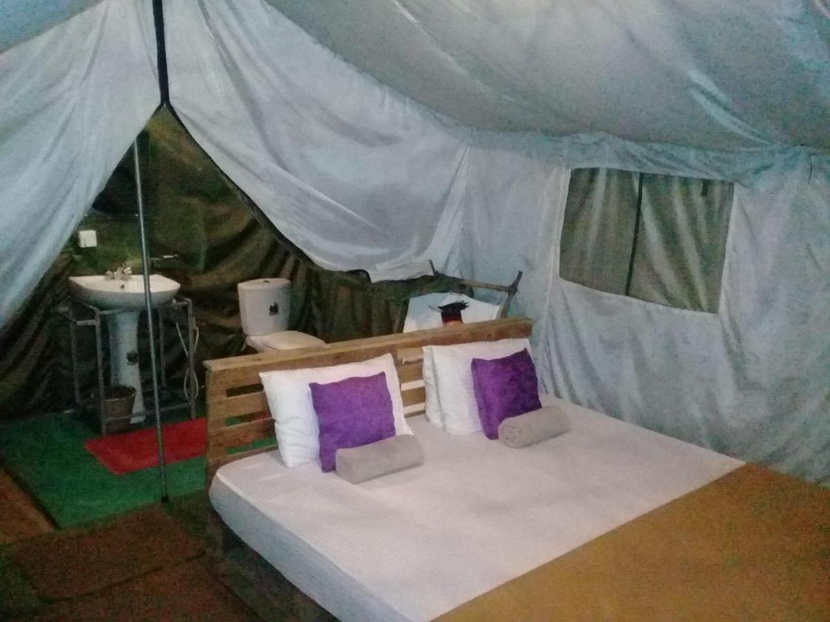 Ella Glamping Hotel Ngoại thất bức ảnh