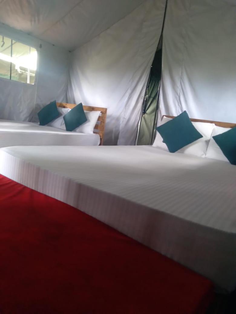 Ella Glamping Hotel Ngoại thất bức ảnh