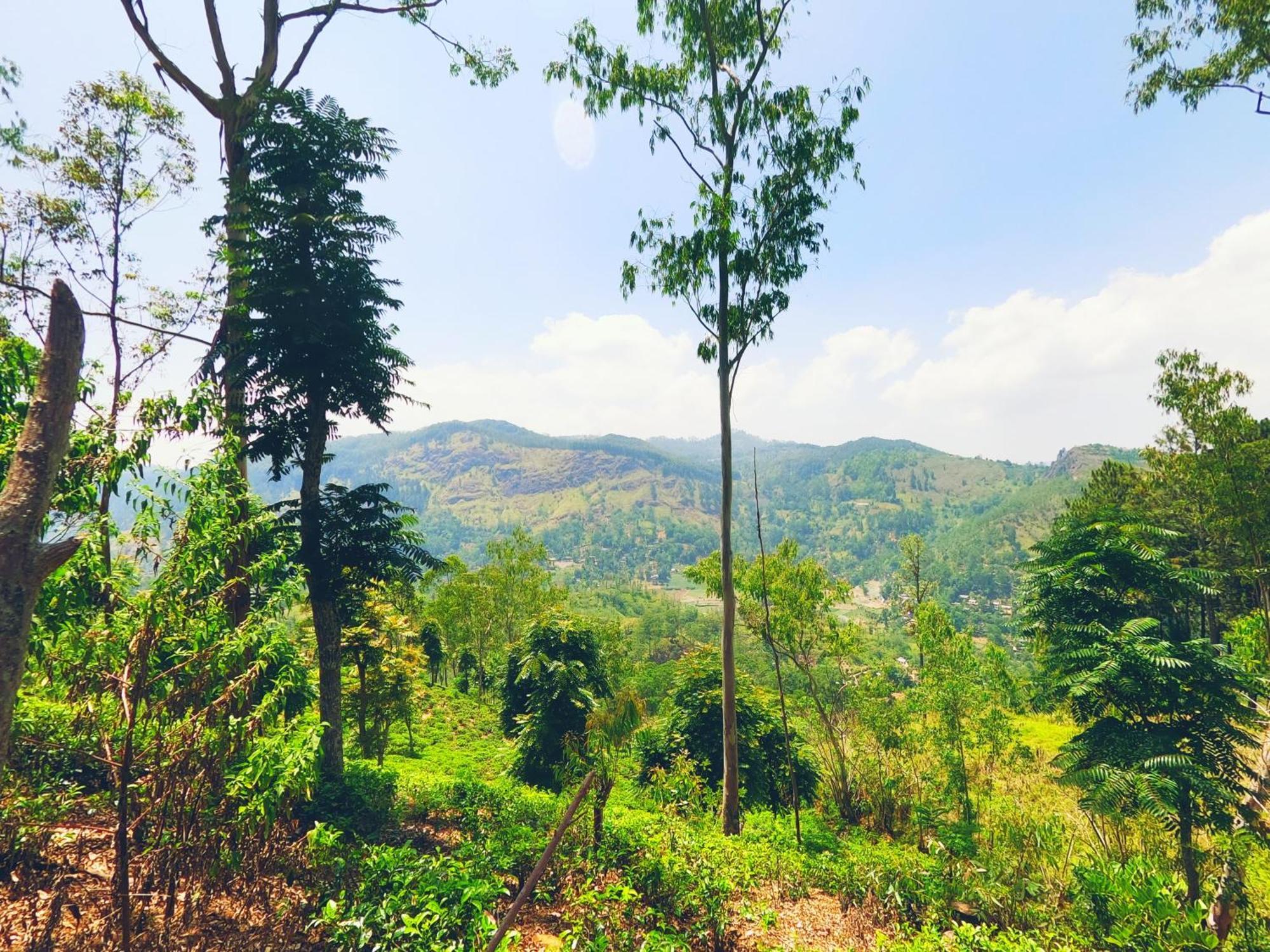 Ella Glamping Hotel Ngoại thất bức ảnh