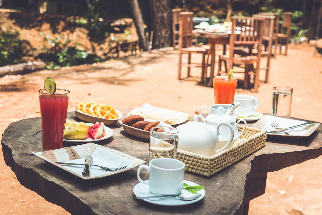 Ella Glamping Hotel Ngoại thất bức ảnh