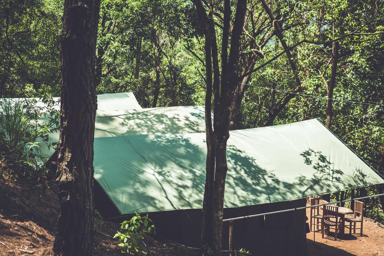 Ella Glamping Hotel Ngoại thất bức ảnh