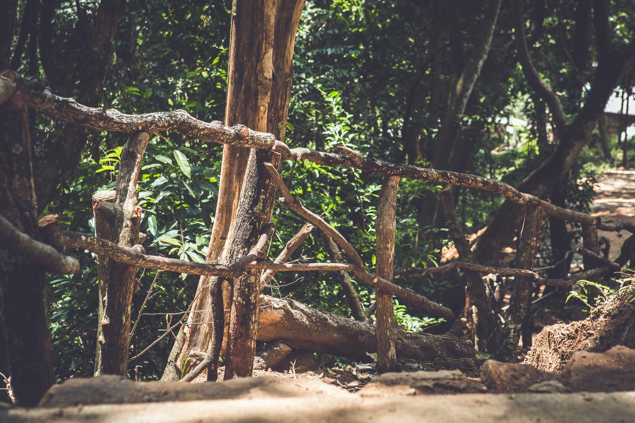 Ella Glamping Hotel Ngoại thất bức ảnh