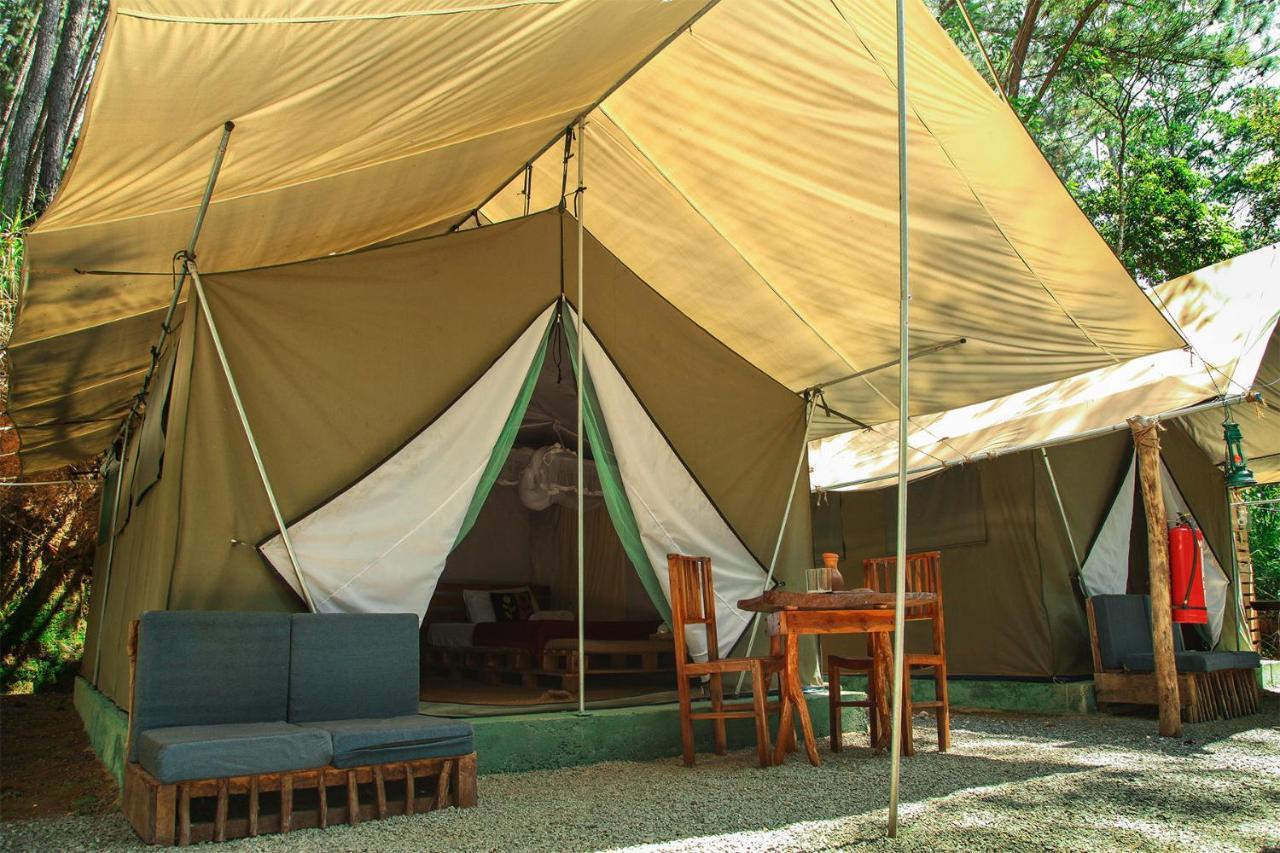 Ella Glamping Hotel Ngoại thất bức ảnh