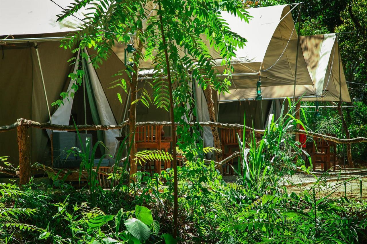 Ella Glamping Hotel Ngoại thất bức ảnh