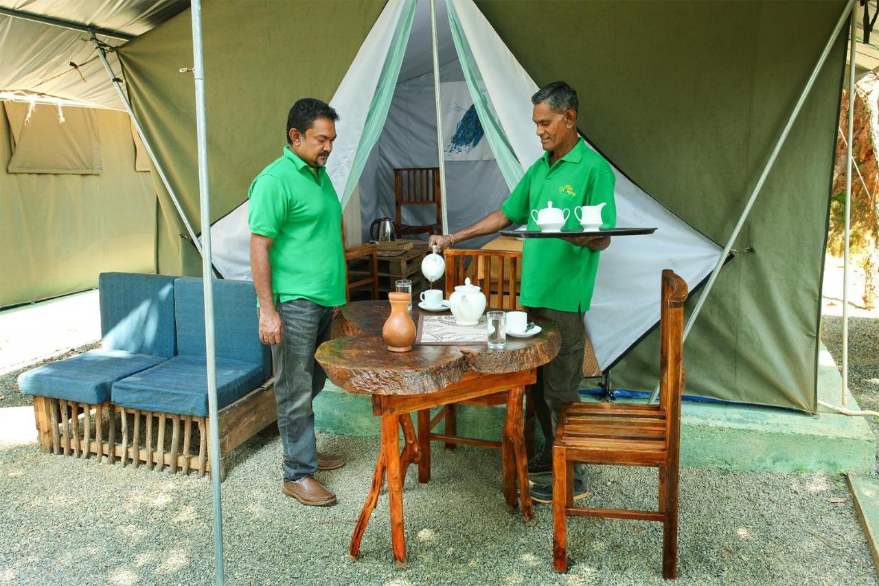 Ella Glamping Hotel Ngoại thất bức ảnh